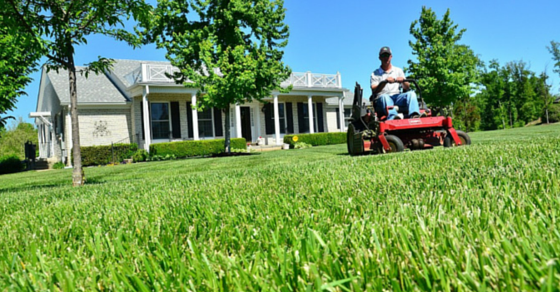 DIY Lawn Care: 7 Ways to Get a Healthy, Green & Enviable ...
